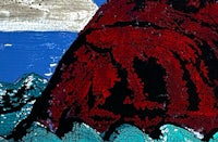 a painting of a red rock in the ocean